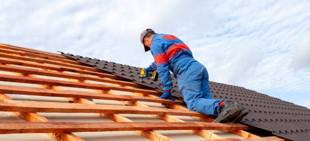 Best Metal Roofing Installation  in Maroa, IL