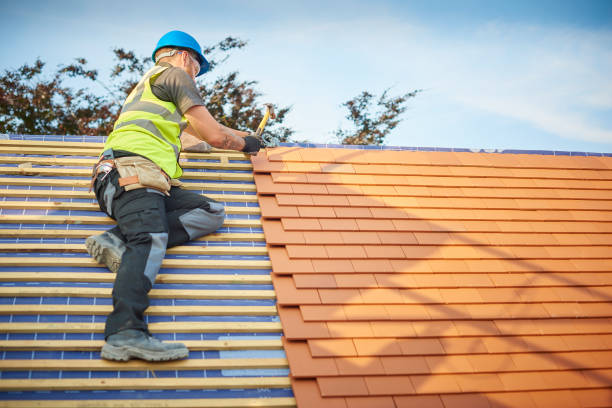 Best Storm Damage Roof Repair  in Maroa, IL